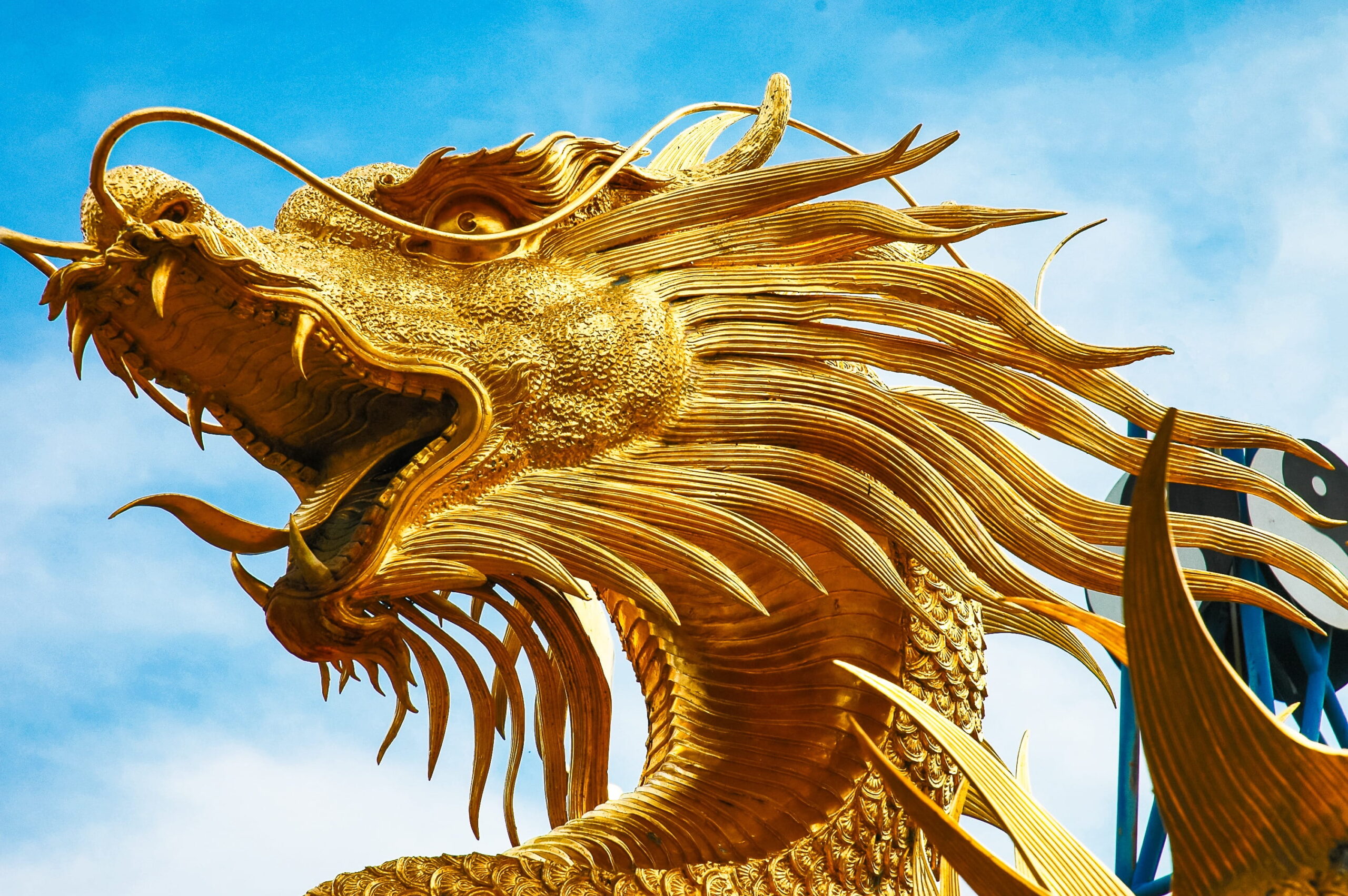 cina
